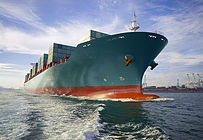 Export Sales